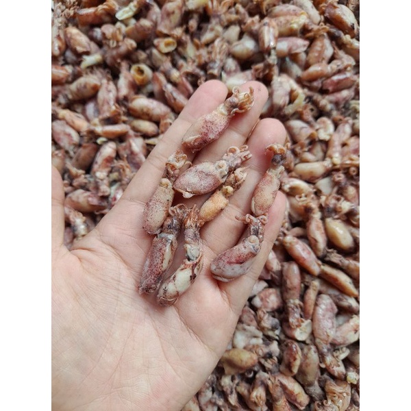 

Aneka Baby Balita cumi 100gr