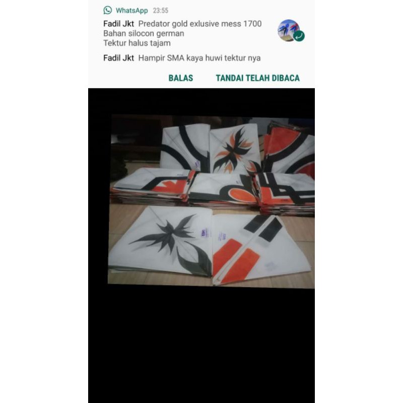 layangan seot 54 semi predator ipKites