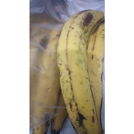 

pisang tanduk