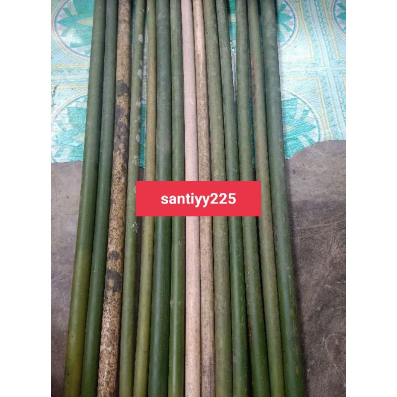 bambu Tamiang panjang 90 cm