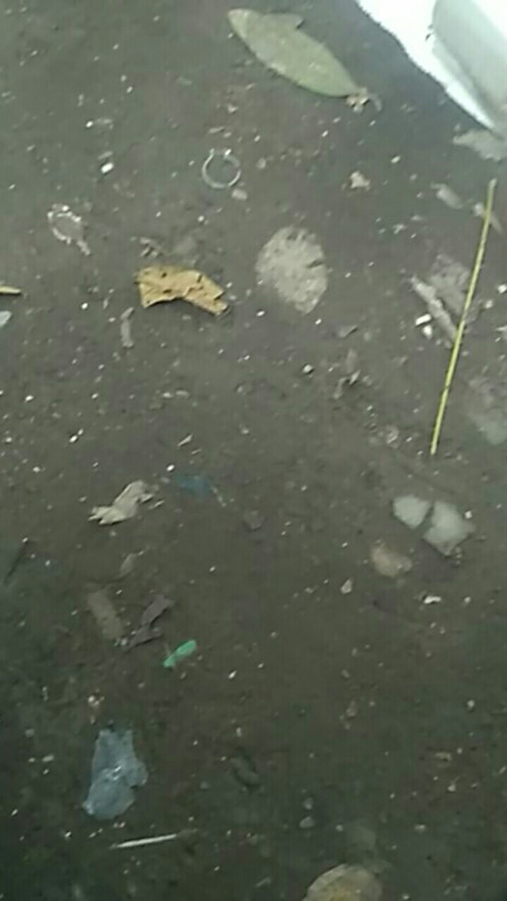 Obeng Set Multifungsi 24 In 1 Palu Kunci T Sock Screwdriver