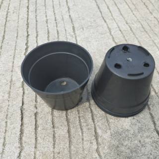  Pot  Bunga 10cm hitam  Pot  Tanaman Hias Grosir Murah Pot  