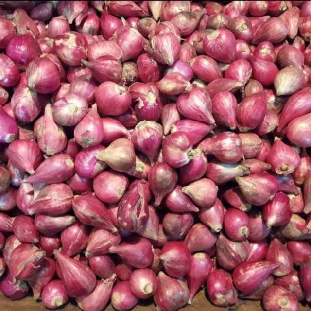 

Bawang merah asli 100%brebes 1kg