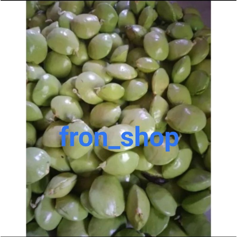

500GRM JENGKOL MUDA SEGAR | JENGKOL MUDA SUDAH KUPAS 100%original