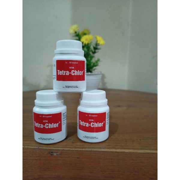 Tetra Chlor 50 kapsul