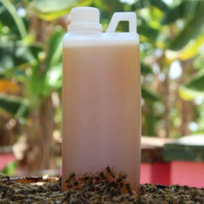 Madu Murni Nektar 1kg Honeykyu Immune Boosting