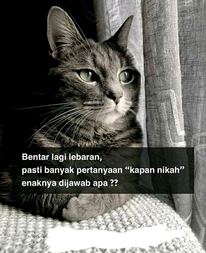 Baju Couple Batik Keluarga / Seragam Batik / Atasan Batik / Couple Batik Wanita Modern Motif Kate