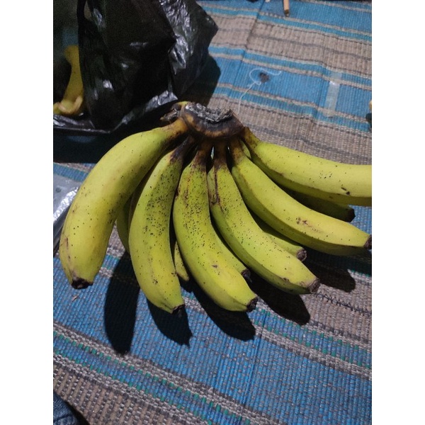 

pisang raja