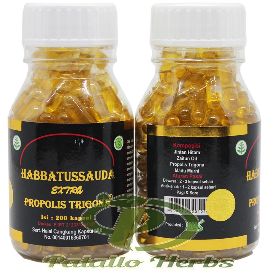 UMS 200 Habbatussauda Extra Propolis Trigona 200 Kapsul UMS  Habatussauda