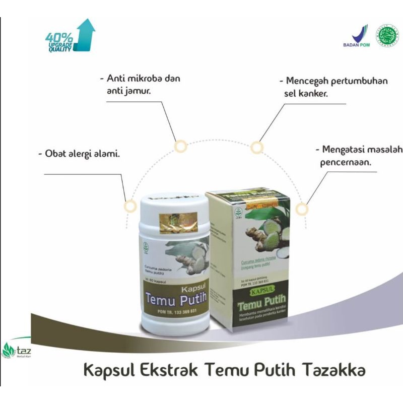 Rimpang Temu Putih Kapsul