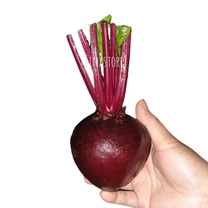

BUAH BIT/BEETROOT FRESH KUALITAS SUPER 1KG