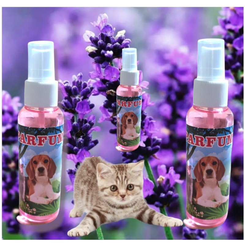 parfum kucing /anjing lavender 100ml