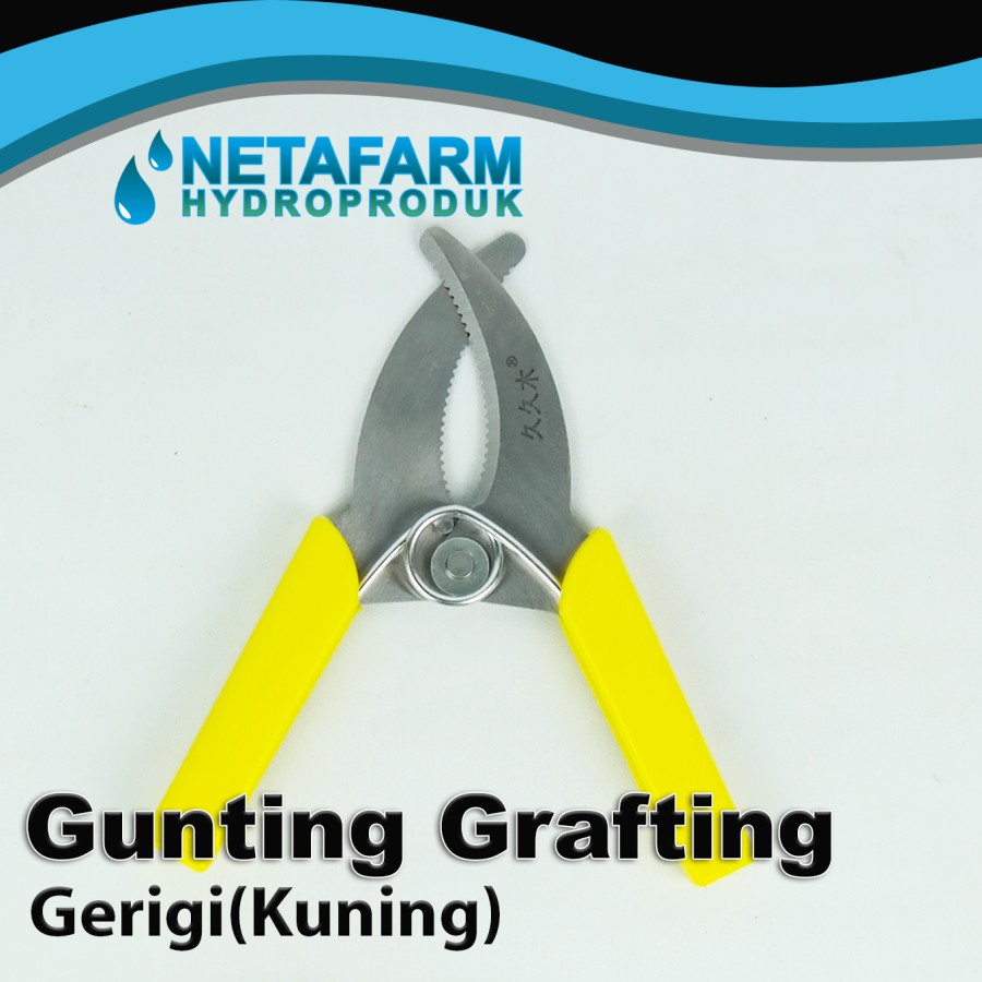 GUNTING GRAFTING GERIGI WARNA KUNING - 1 PCS