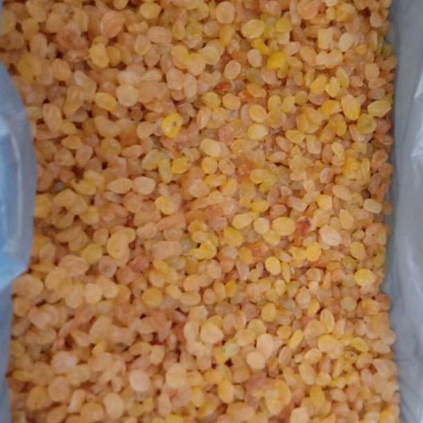 

♩♪ Buah kismis manis segar golden raisins 1 kg ケ