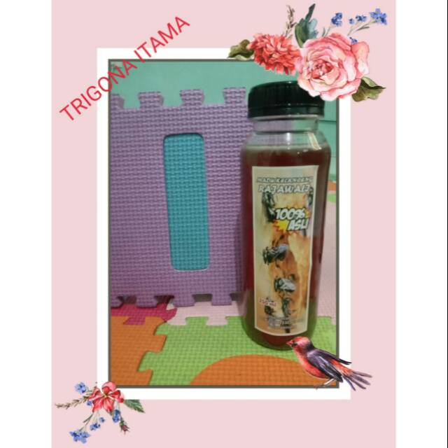 

Madu kelanceng/kelulut/trigona itama Rajawali 100% asli kemasan 250ml