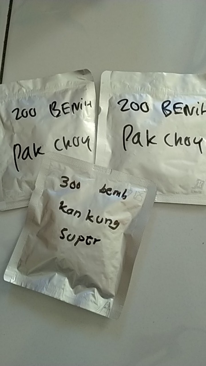 350 Biji Benih Sawi Tosakan Terbaik