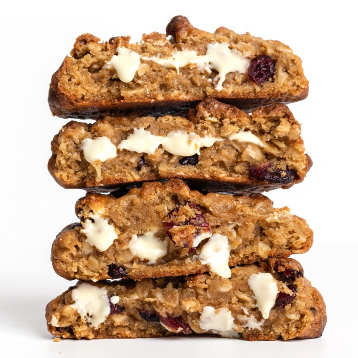 

The Soho | Oatmeal Cranberry Cookie