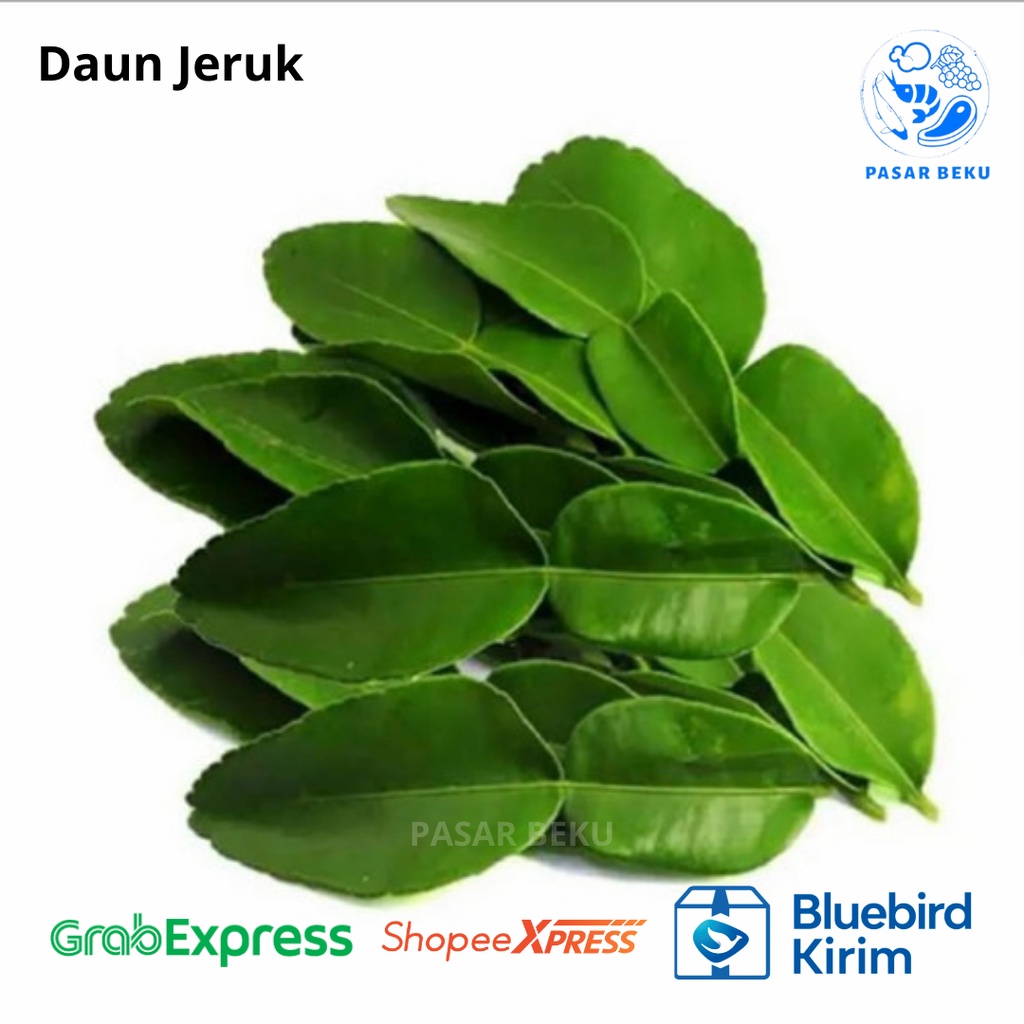 

Daun Jeruk Daun Salam 50 Gram Bumbu Dapur Pasar Beku Padang