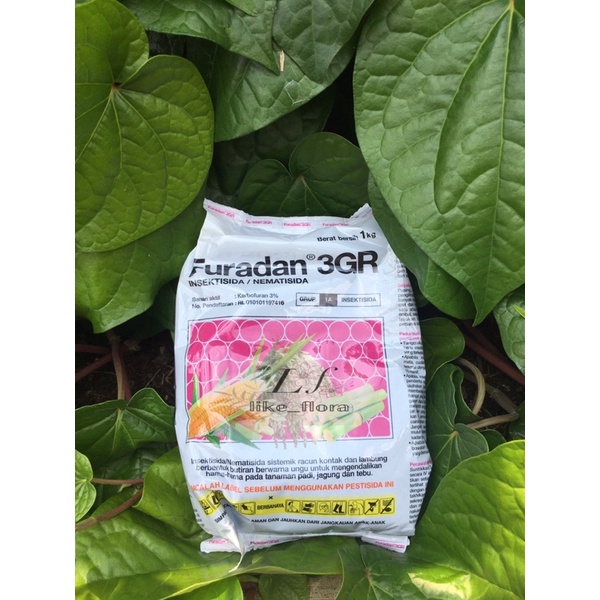 Furadan 1Kg