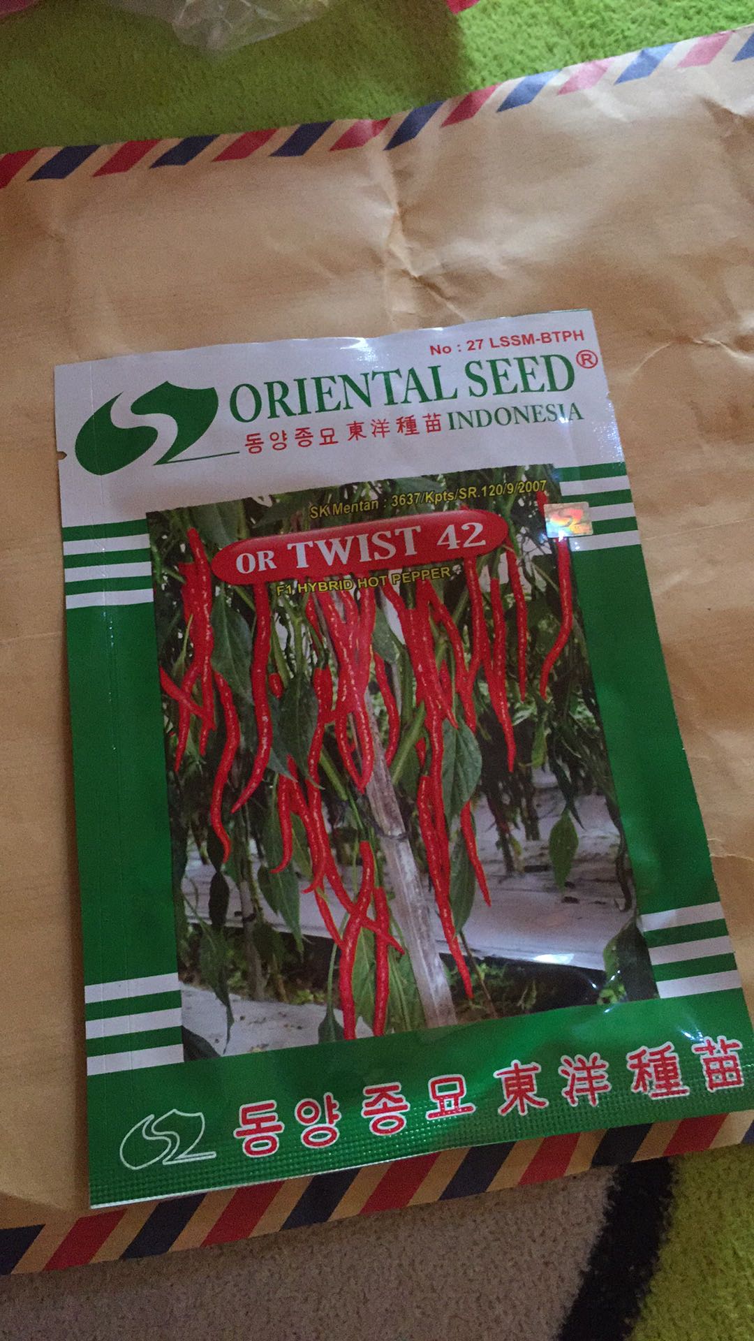 Benih Cabe Keriting Or Twist 42 Cabe Keriting