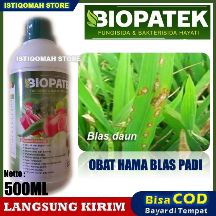 BIOPATEK Fungisida Hayati Atasi Penyakit Blas pada Padi, Obat Blast dan Kresek pada Padi Paling Ampuh - Obat Untuk Penyakit Blas Pada Tanaman Padi - Cara Pengendalian Penyakit Blas Pada Padi - Cara Mengatasi Penyakit Blas Pada Padi Paling Manjur