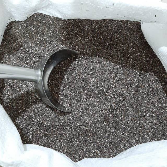 

Organic black chiaseed 20 kg