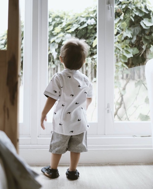 Whale Shirt