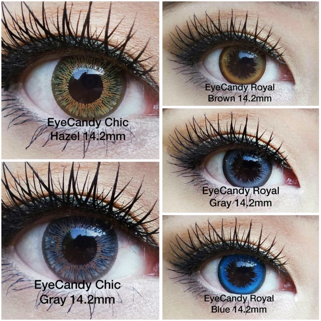 Eyecandy bulle soju belle smokey chic sake tosca softlens