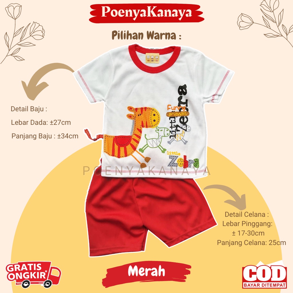 Setelan Baju Bayi Pendek Laki Laki ZEBRA EDRYCA 3-12 Bulan STL97