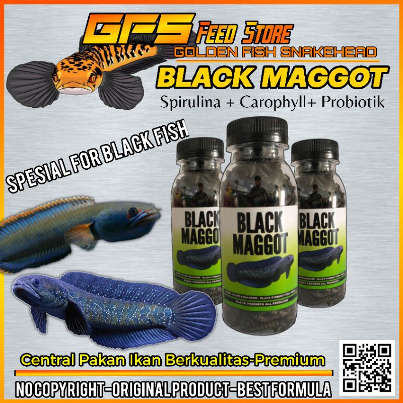 Maggot Hitam/Black Maggot Kemasan botol 100ml