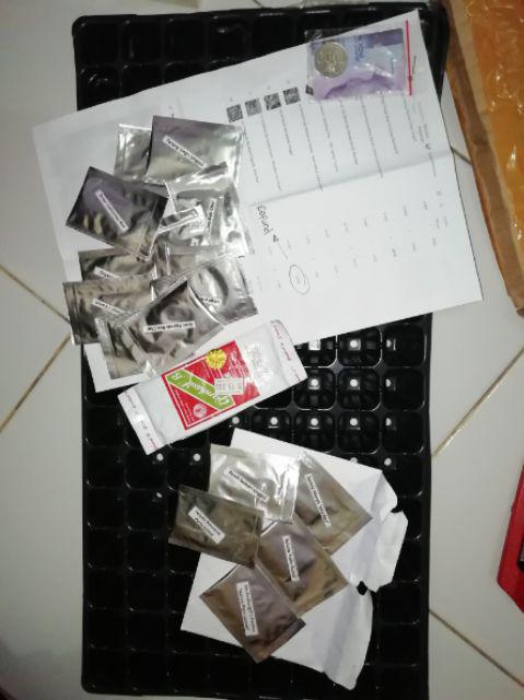 Isi 150 Benih Biji Sayur Wortel - Carrot Import