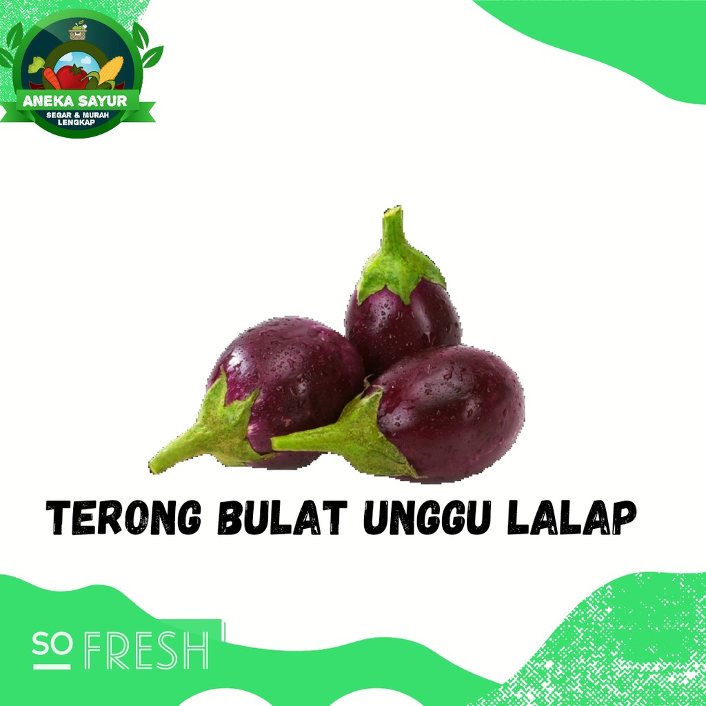 

Terong Bulat Unggu