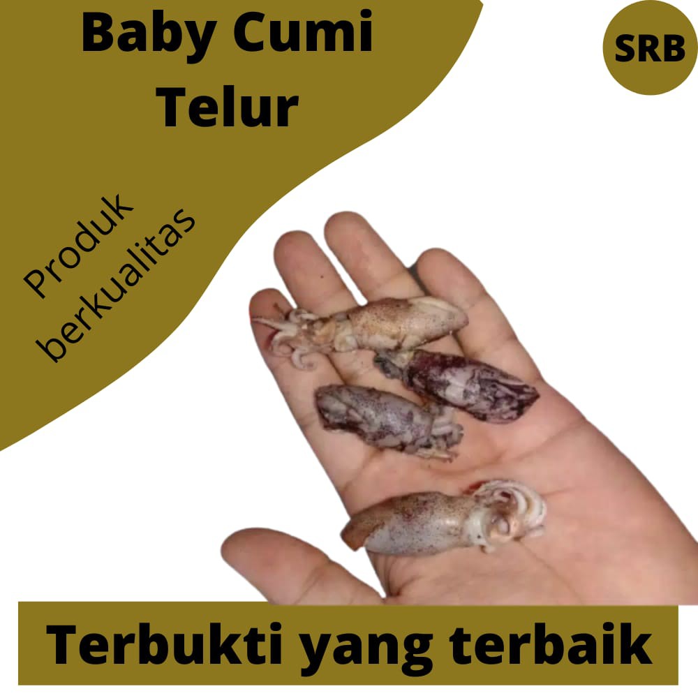

Cumi Baby Telur 0.5-2 cm isi 250 Gram