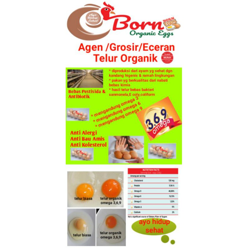 

Telur Organic/telur sehat