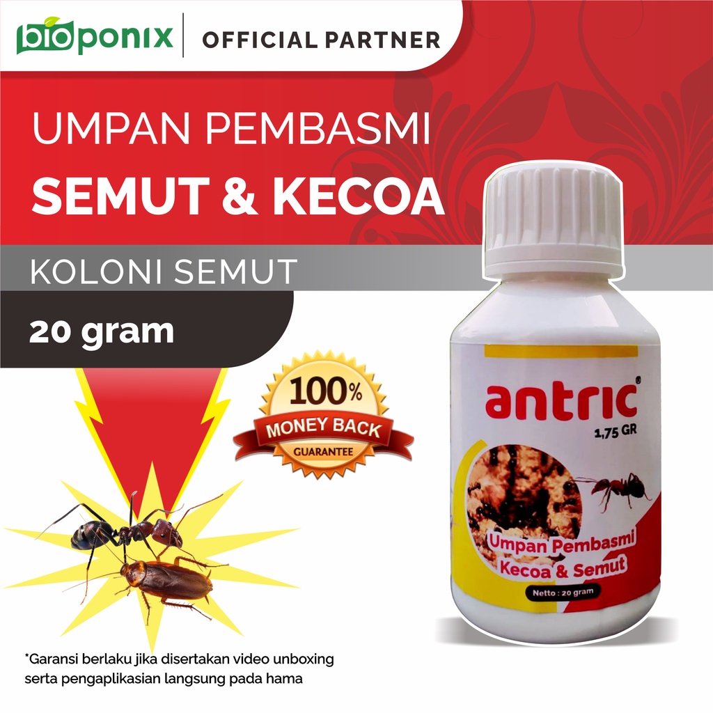 Antric Obat Racun Umpan Pembasmi Semut Kecoa Ampuh 20 gram (Seroxil)