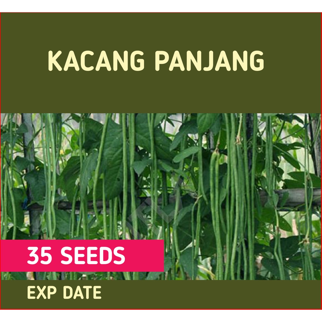 Repack Kacang Panjang Seed