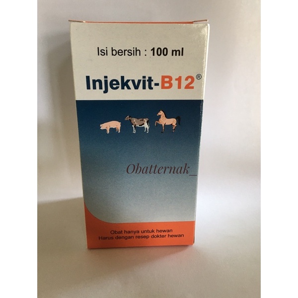 VITAMIN B12 INJEKSI MEDION 100 ML
