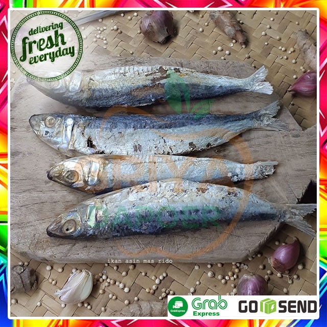 

IKAN ASIN JAPUH - 65 GRAM