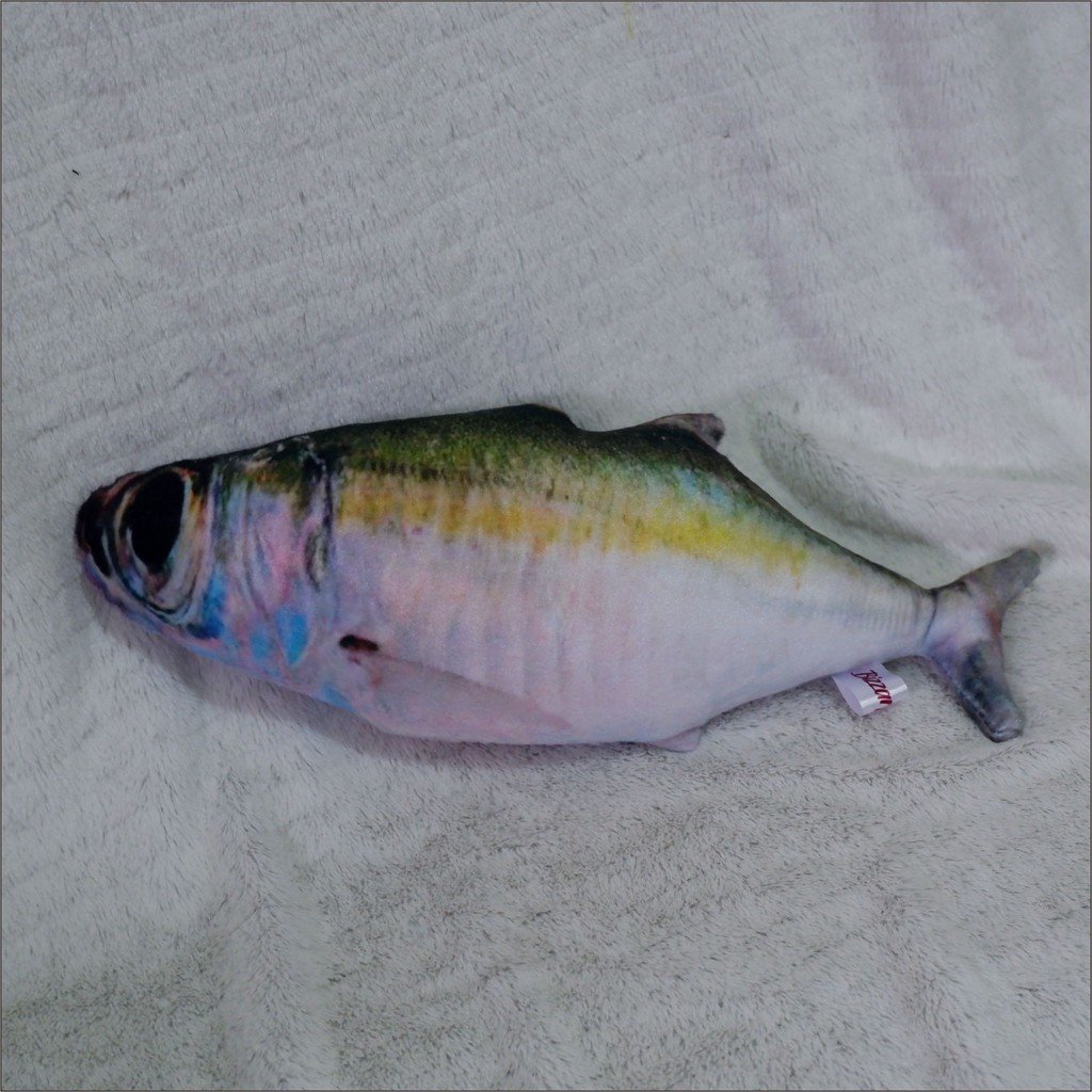 Bizzarpillow Bantal Ikan Asin Size XL BZ072