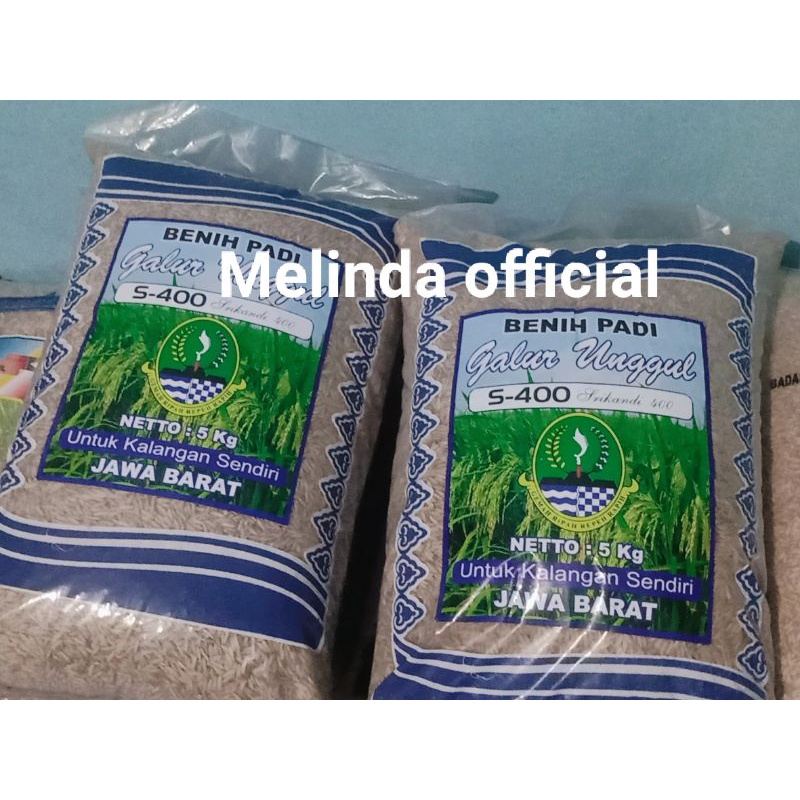 Benih padi srikandi 5kg
