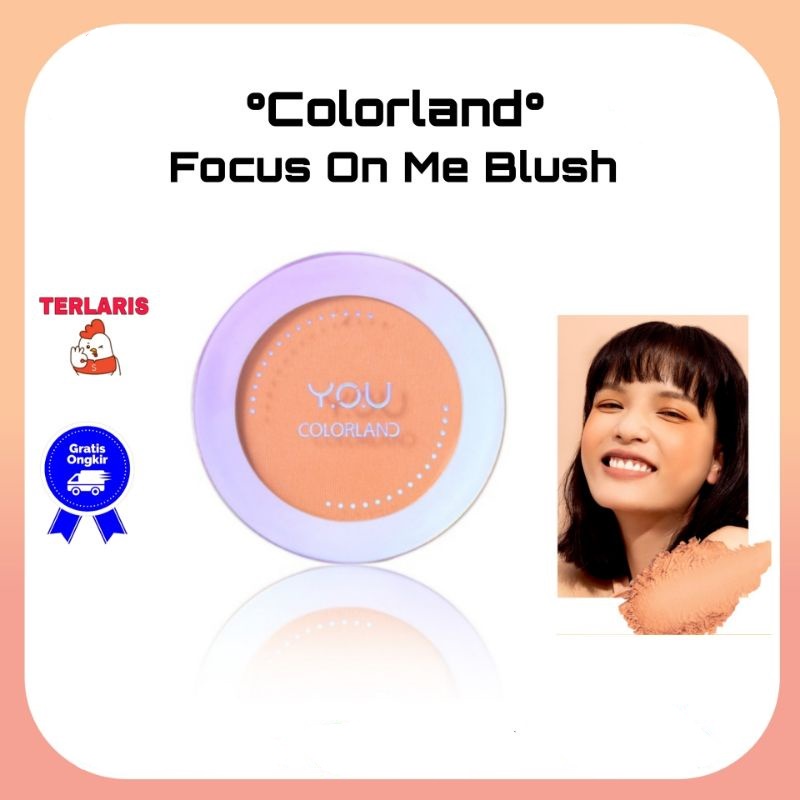 YOU Colorland - Focus On Me Eyeshadow Blush On Highlighter (BPOM) Y.O.U (VC)