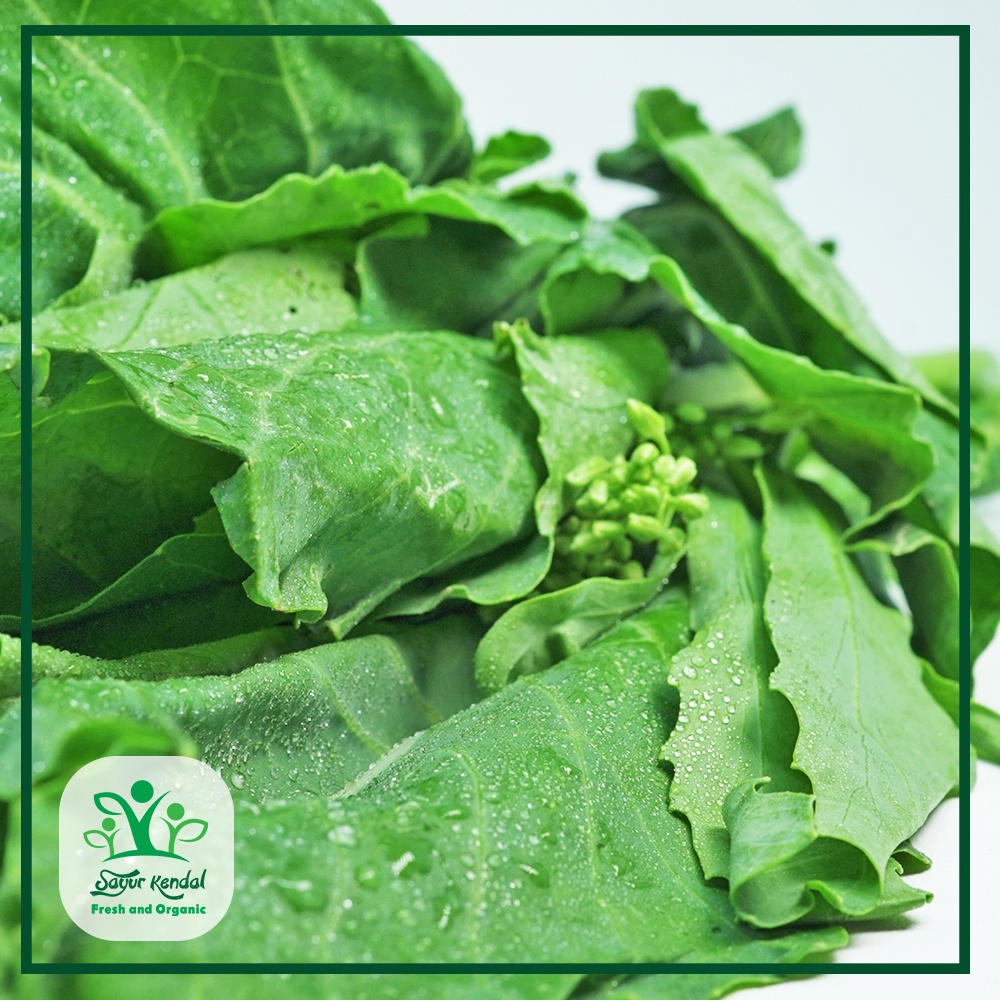

RB Kailan - Sayur Kendal