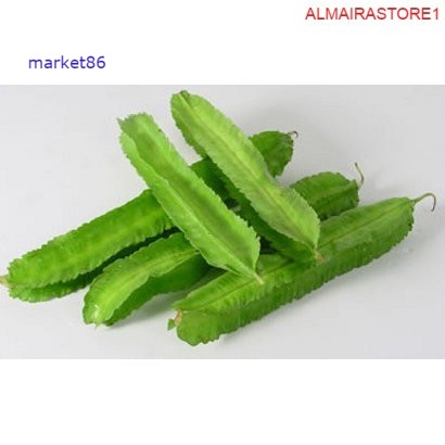 

Grosir Sayur Sayuran Segar FRESH Kecipir 250 Gram murah - Market86