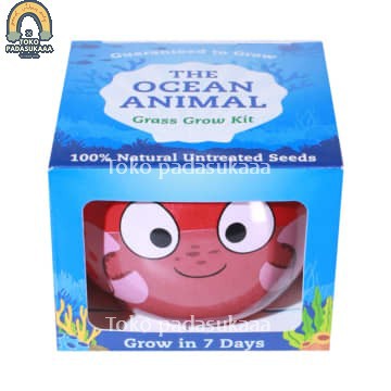Ceramic Keramik Pot Tanaman Grow Kit Ocean Animals