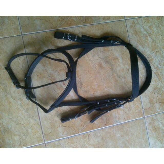 

Bridle kuda