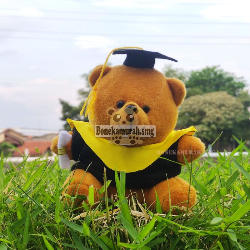 Grosir Boneka wisuda baju 15 cm SNI karakter lengkap