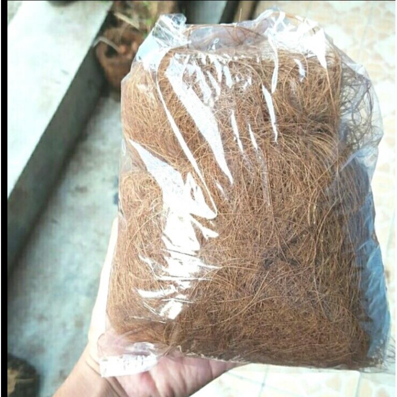 

SABUT KELAPA MURNI SABUT KELAPA ASLI