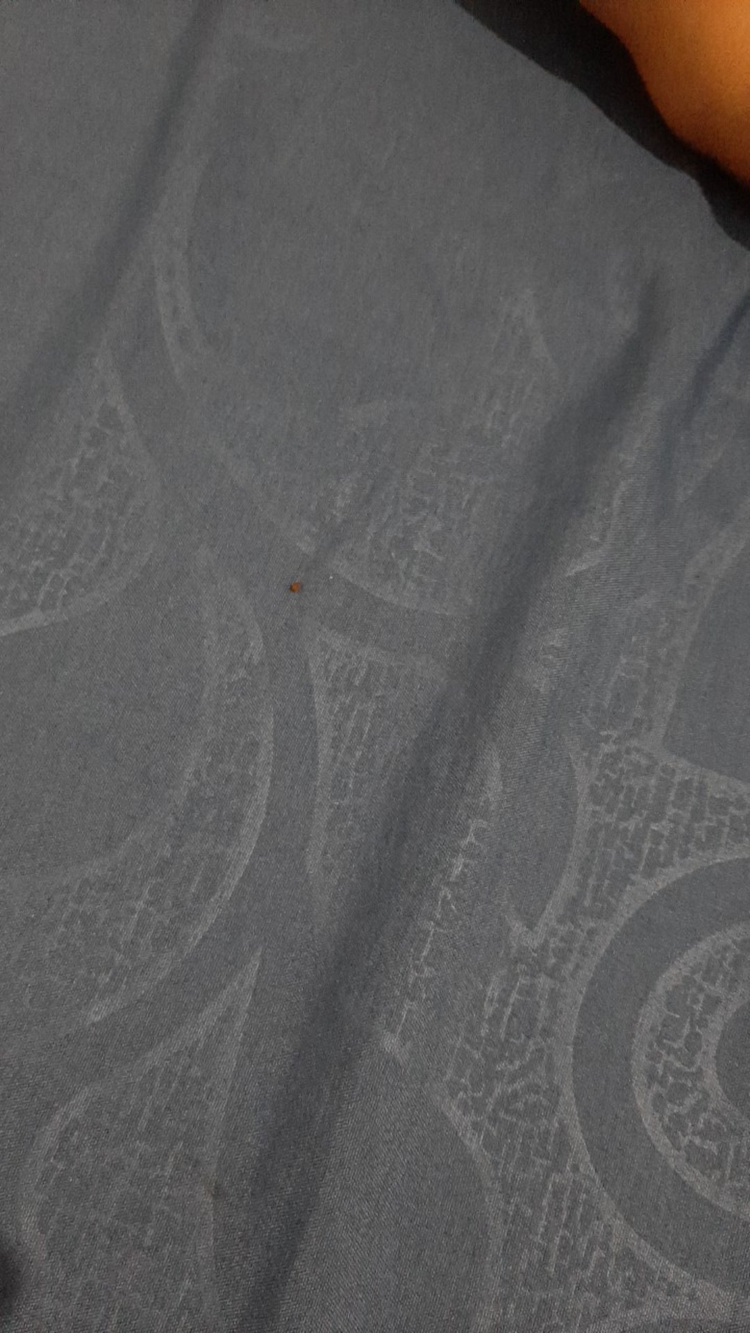 Pisau Dapur Set Lengkap Keramik 3 In 1 + Talenan