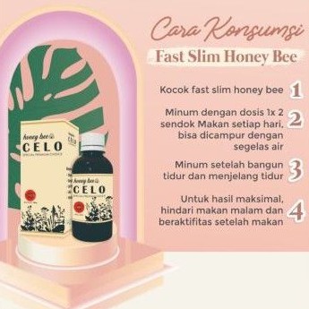 

FAST SLIM HONEY BEE