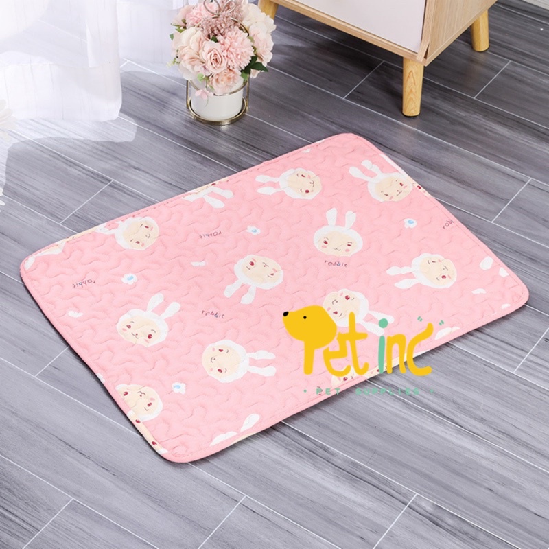 Pawbuddy pet playmat